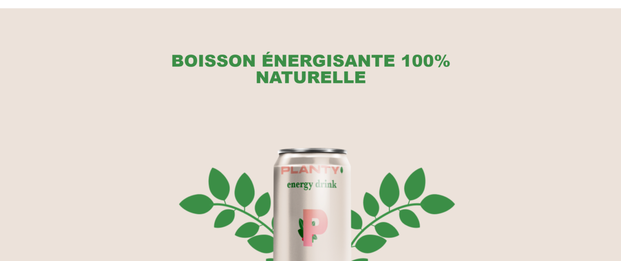 Capture d'écran du projet Planty